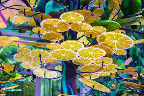 On Manhattan’s Western Edge, Citrovia Is Bringing Whimsical Lemon Groves to NYC