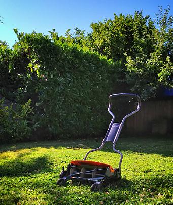 Lawn Care Tips: How to Keep Your Lawn Green and Healthy