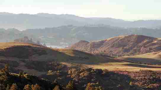 Cass Calder Smith's Cabins at the Djerassi Resident Artists Program